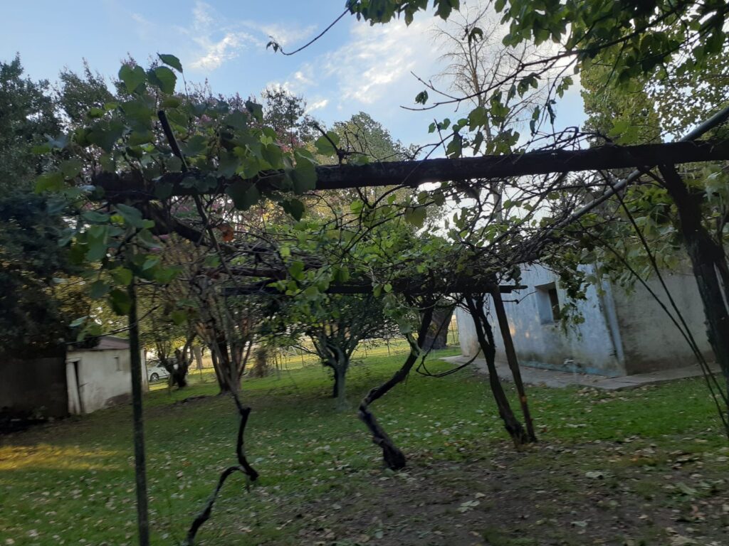 072bf4b5-8be8-46fb-8173-09677993430d-1024x768