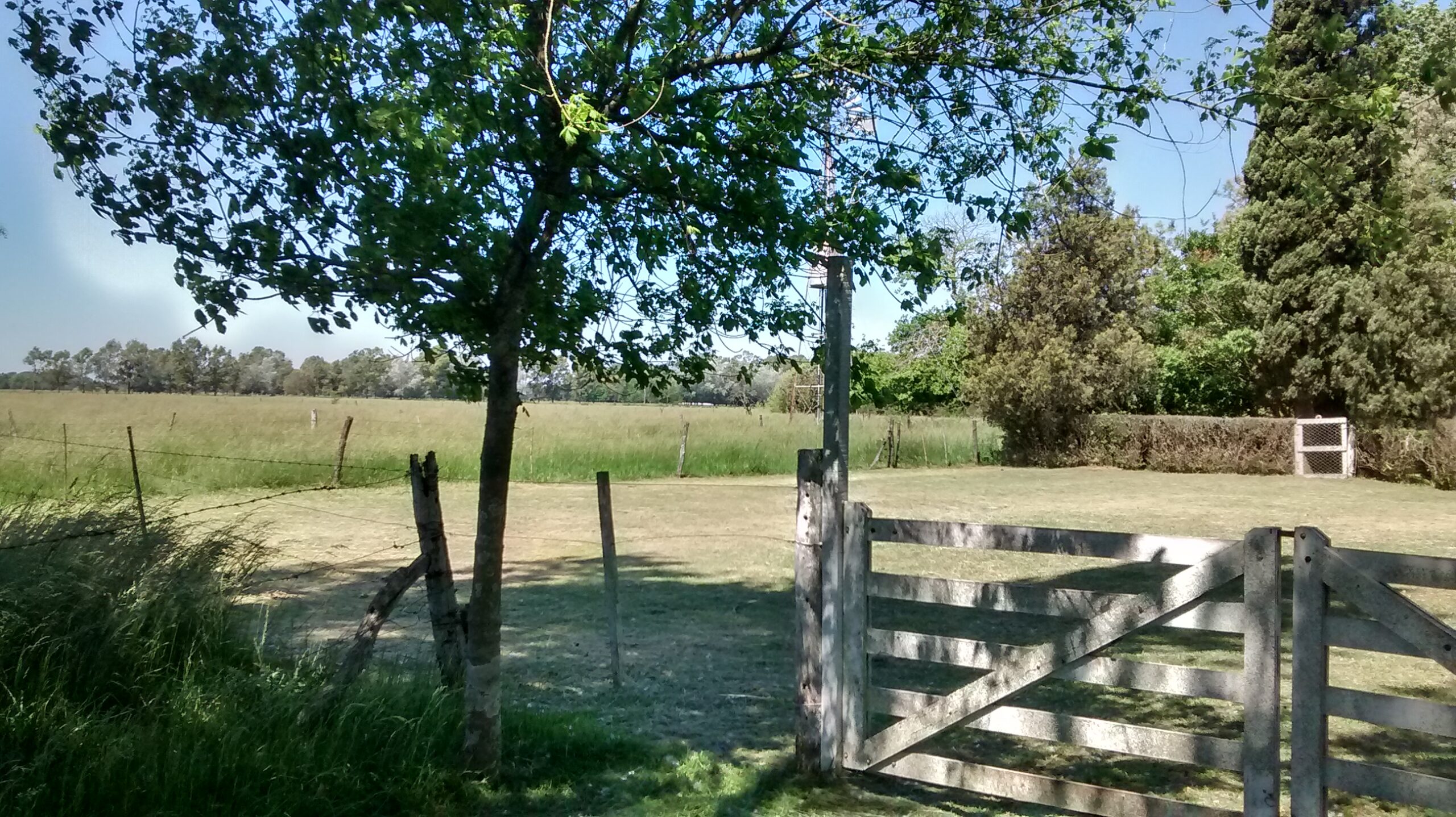 IMG_20161105_142117808_HDR