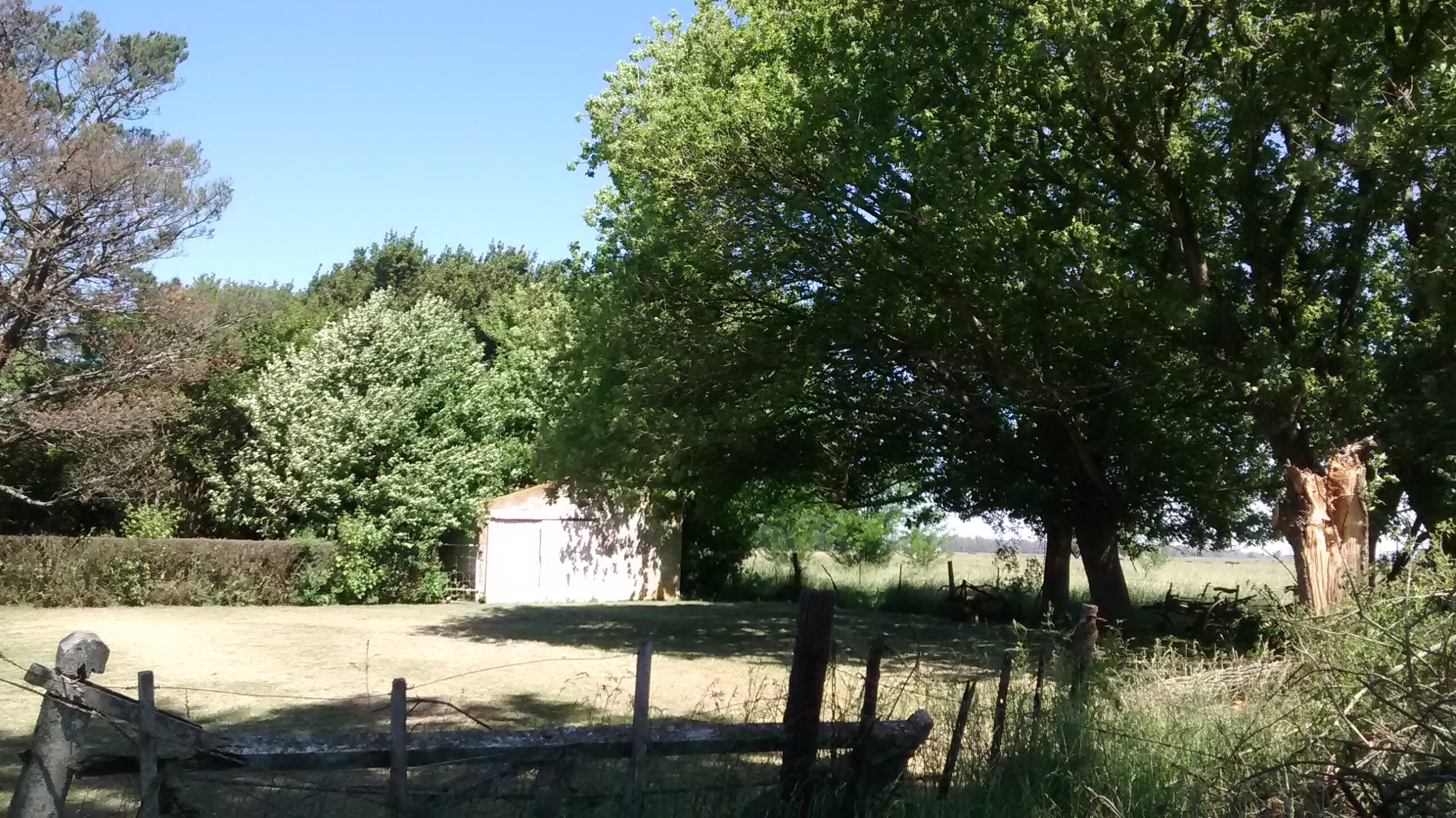 IMG_20161105_142123724