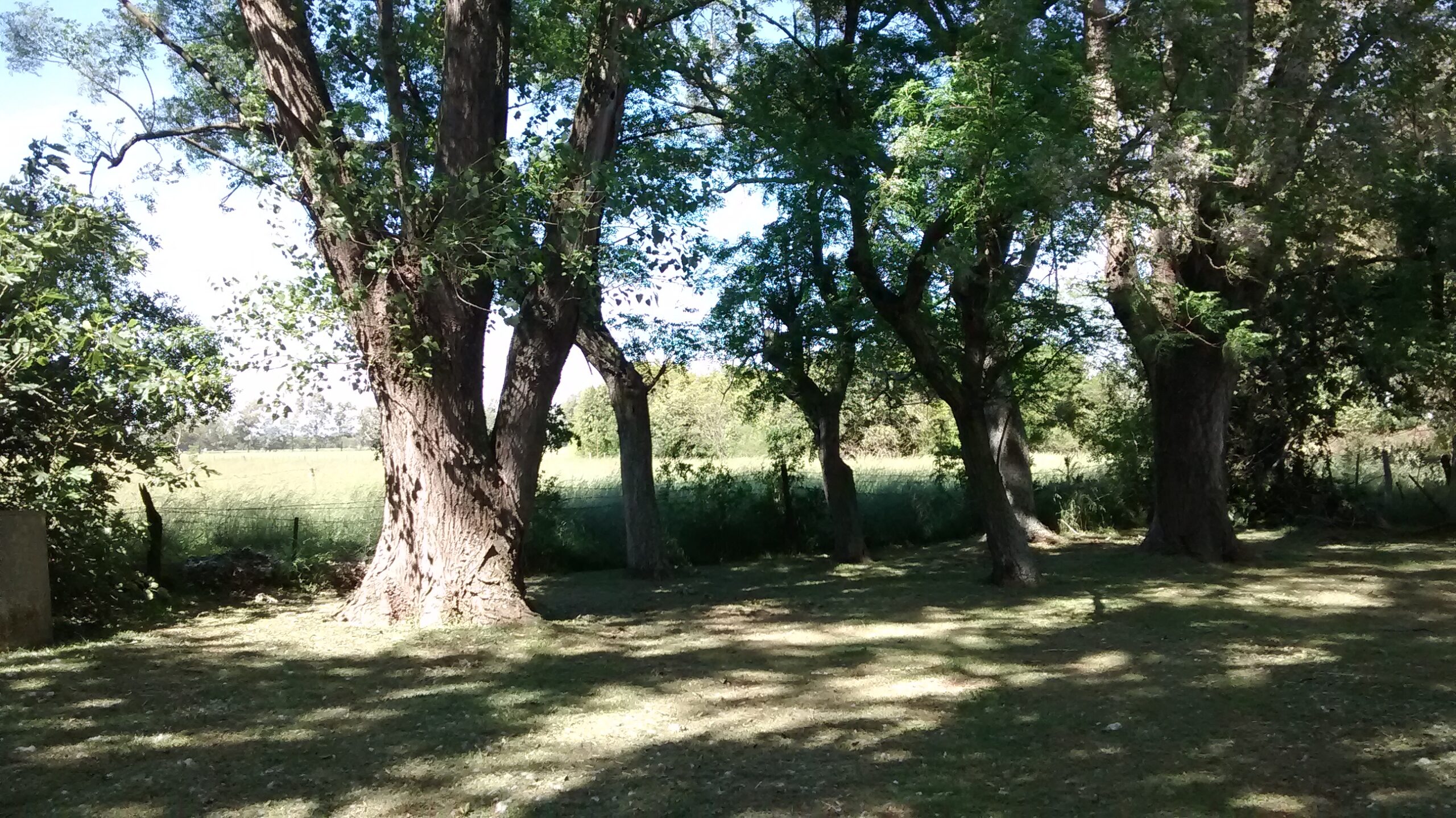 IMG_20161105_151028849