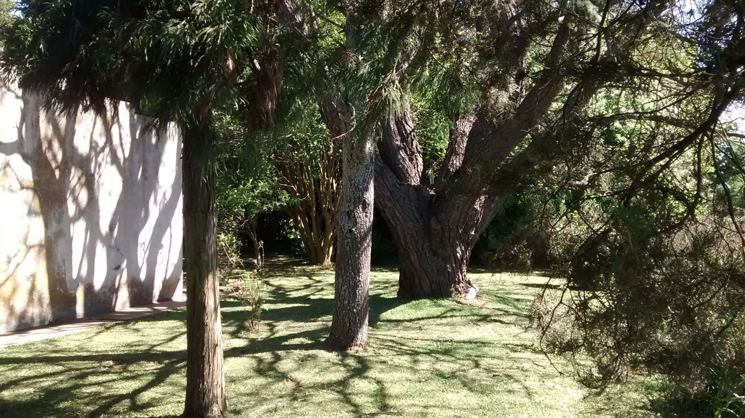 IMG_20161105_151212135