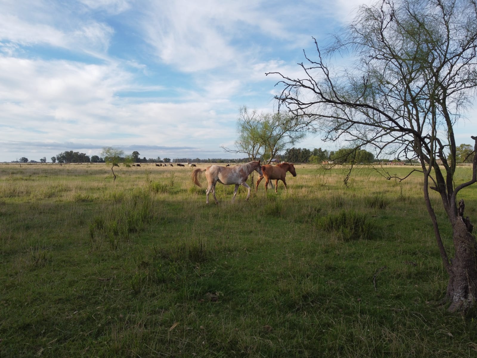 f4593039-2151-4bb8-a3a6-d7994be43a52