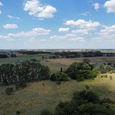 36a683bb-6517-4602-a885-eb7b53c94f0d