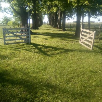 b2b3aee5-bda2-4bd4-8ec2-d98dfb68b6a1